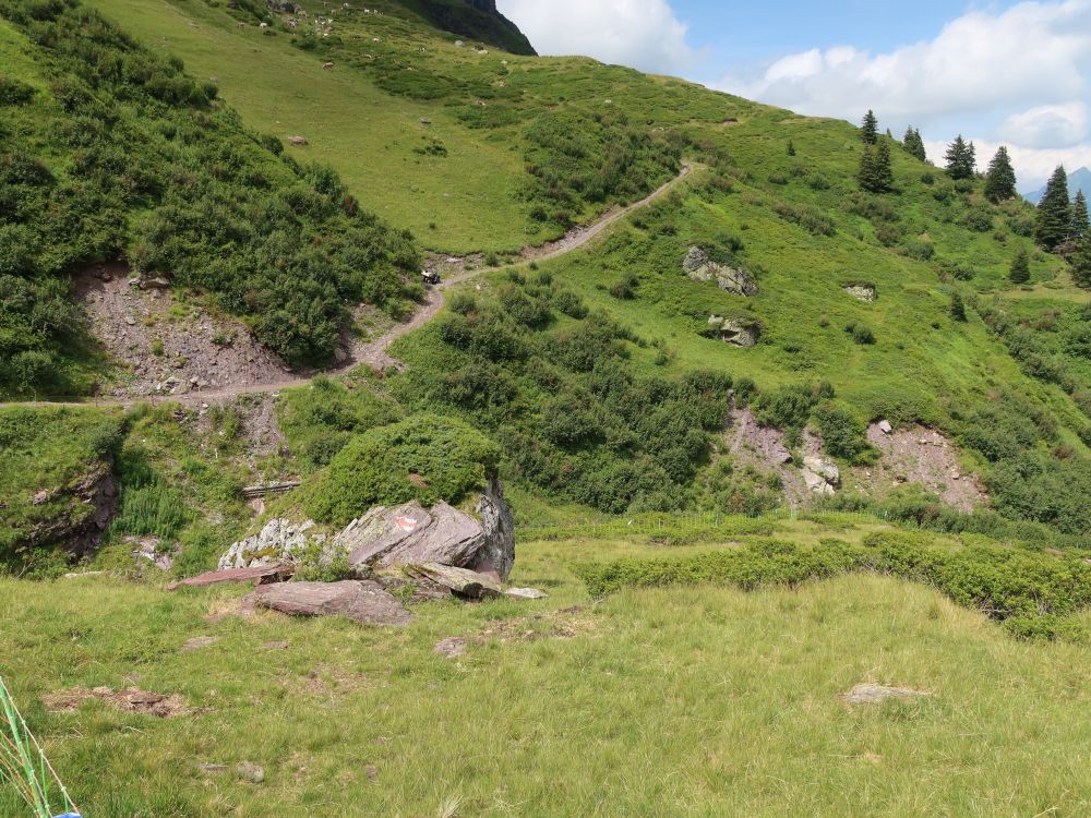 Bergweg bei Obersäss