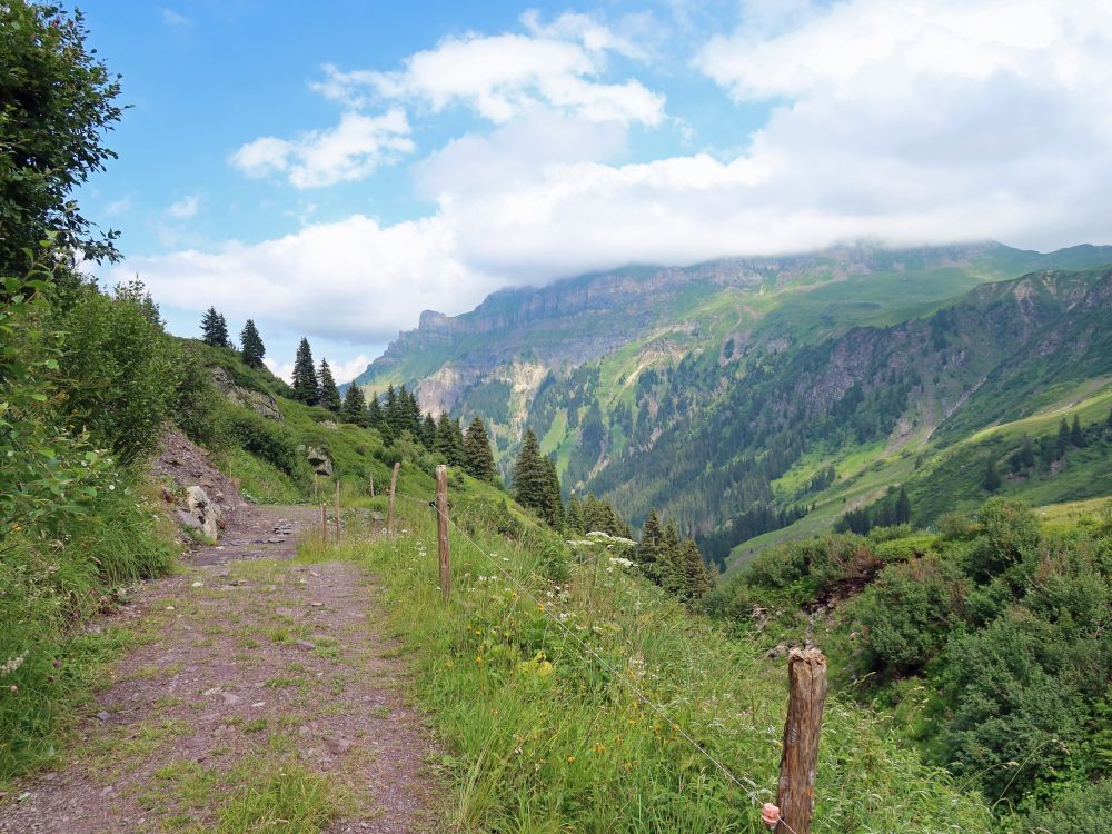 Bergweg und Hochfinsler in Wolken