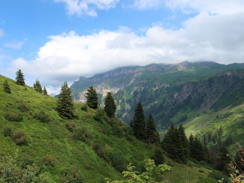 Hochfinsler in Wolken