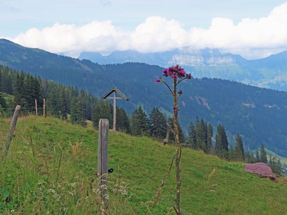 Kreuz und Distelblüte