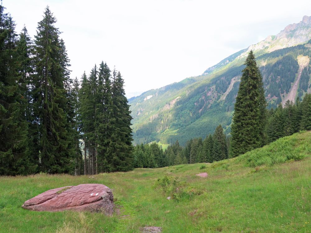 Wiesenpfad am Lärenbödeli