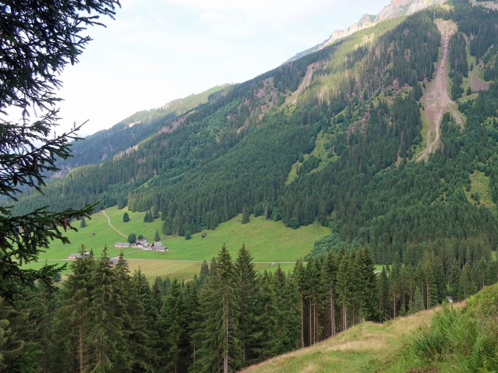 Blick auf Alpe Wiesen