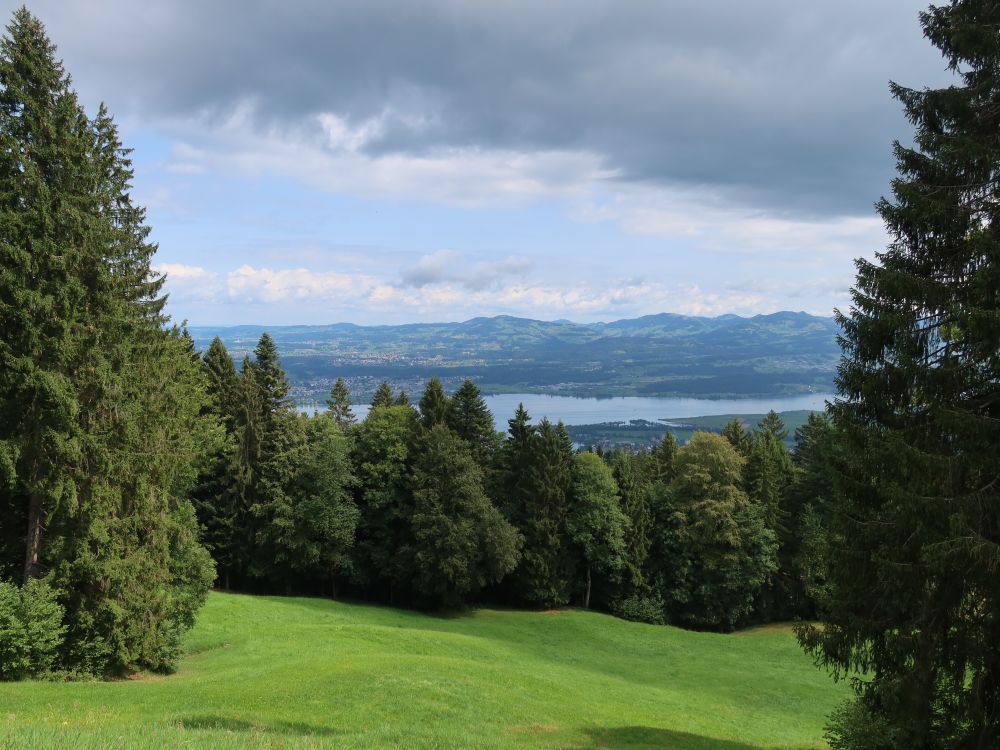 Blick zum Zürichsee