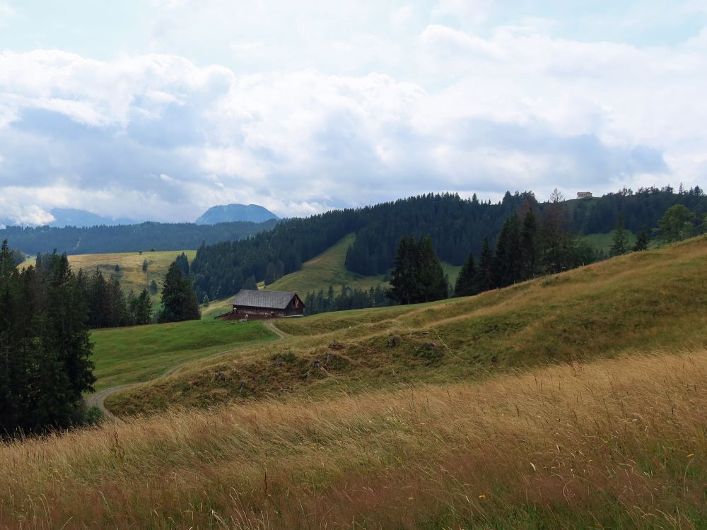 Blick Richtung Gross Aubrig und Gueteregg