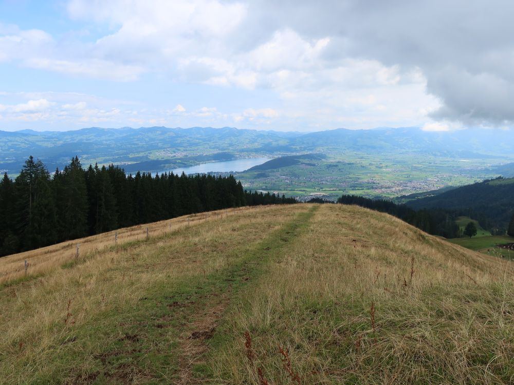 Wiesenpfad und Blick zum Zürichsee