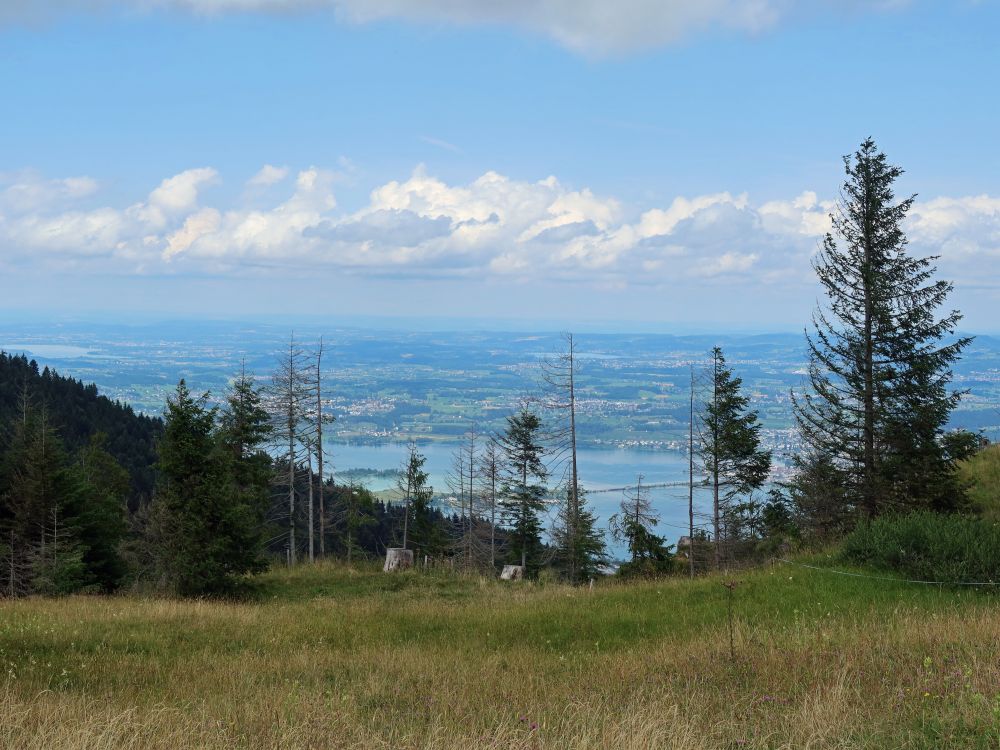 Blick zum Zürichsee