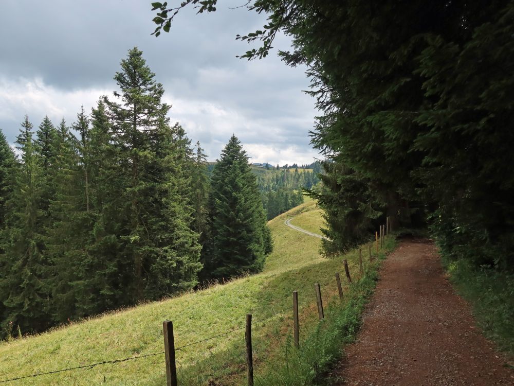 Weg am Waldrand, ganz hintern Stöcklihütte