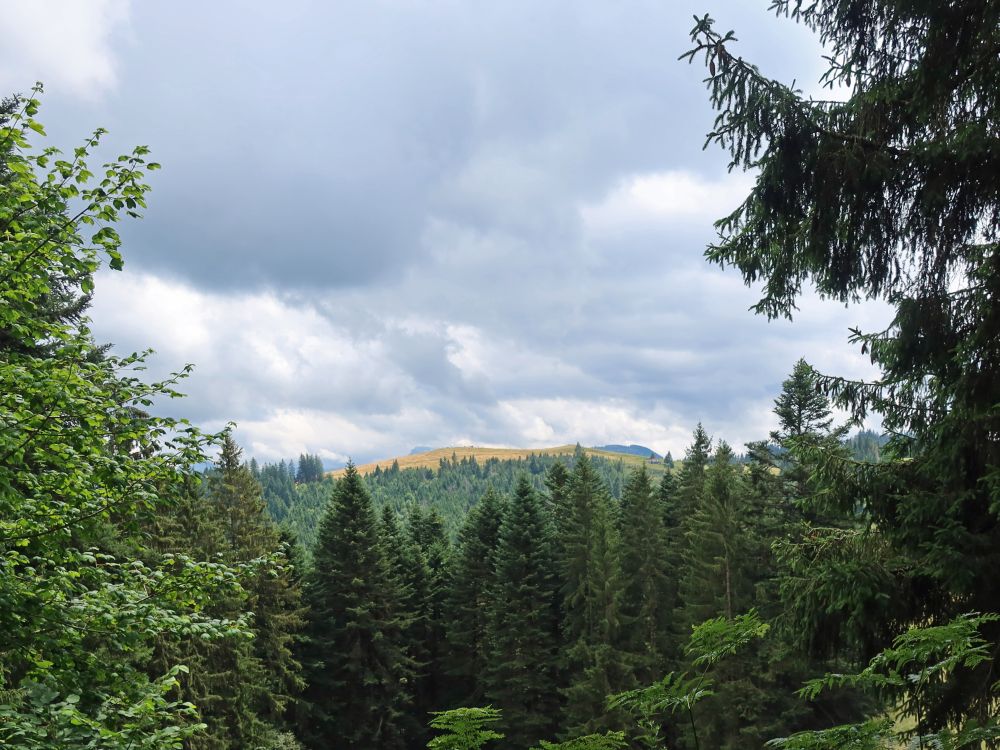 Blick Richtung Stöcklichrüz