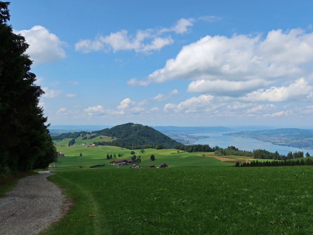 Etzel und Zürichsee