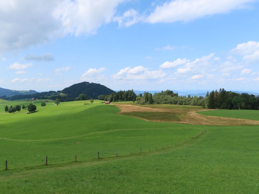 Oberegg mit Etzel im Hintergrund