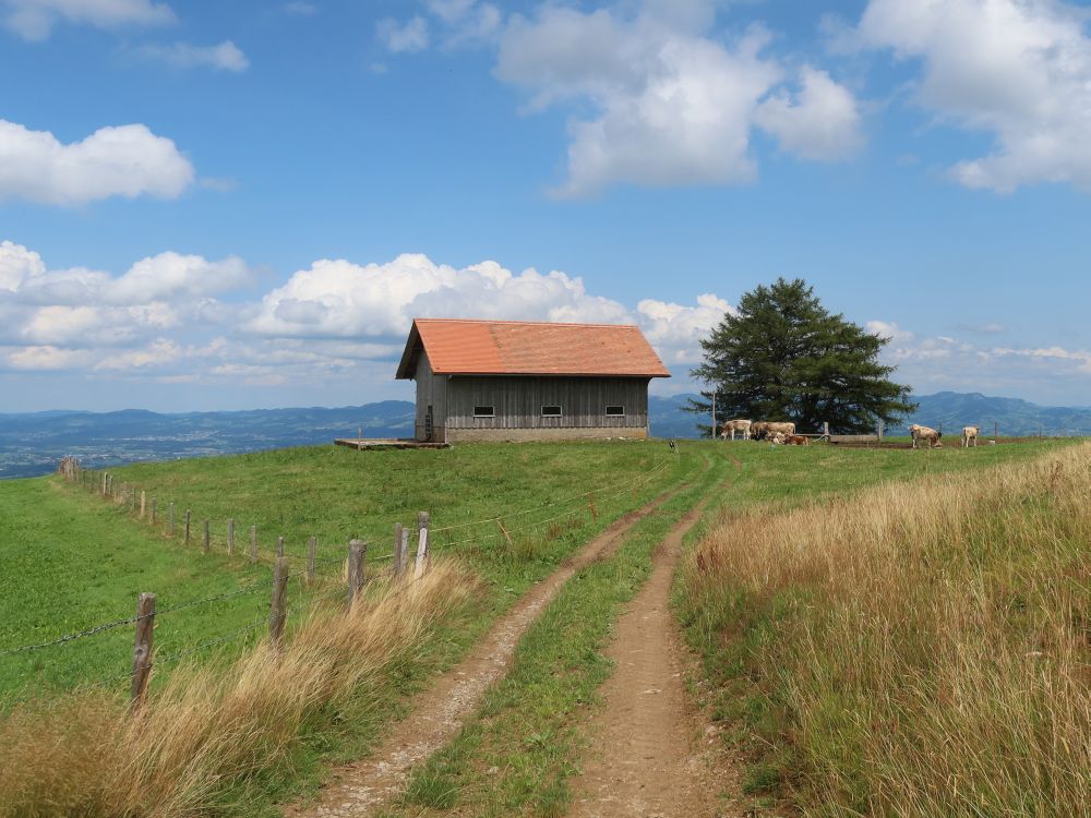 Stall am Schönboden