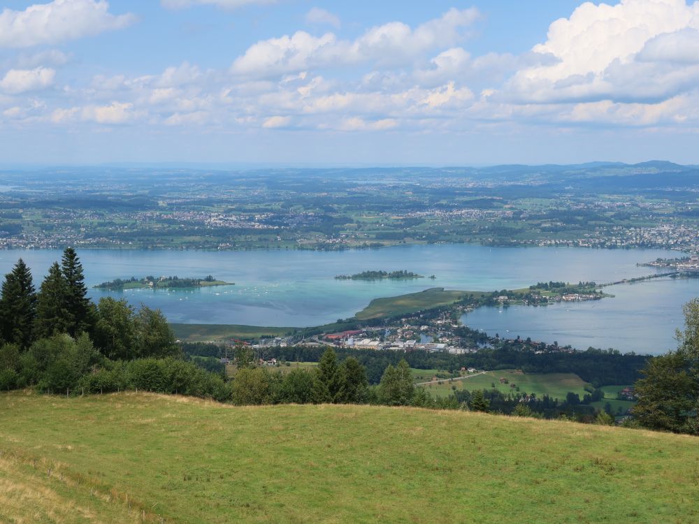 Zürichsee mit Seedamm