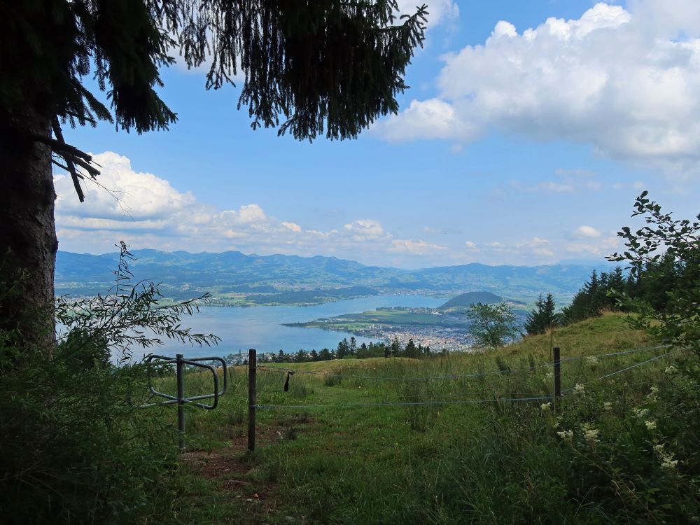 Drehkreuz und Obersee