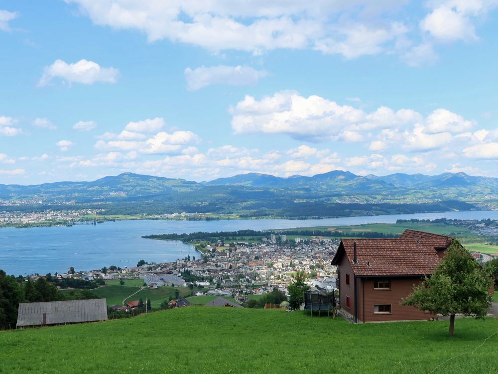 Blick auf Lachen am Zürichsee