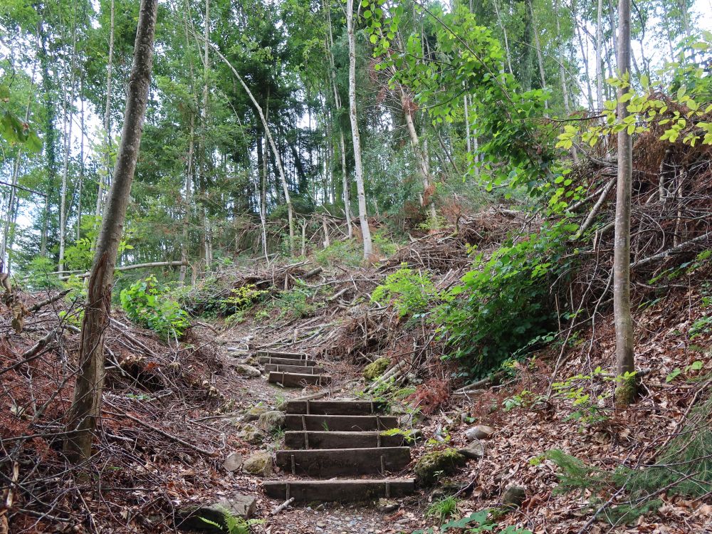 Treppe