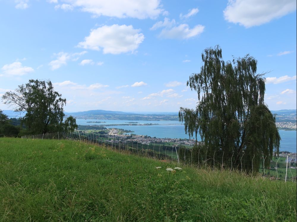 Blick Richtung Zürichsee