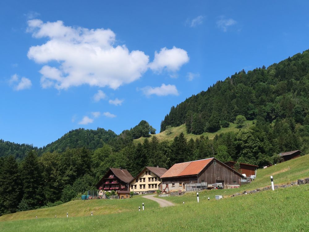 Bauernhöfe bei Aesch