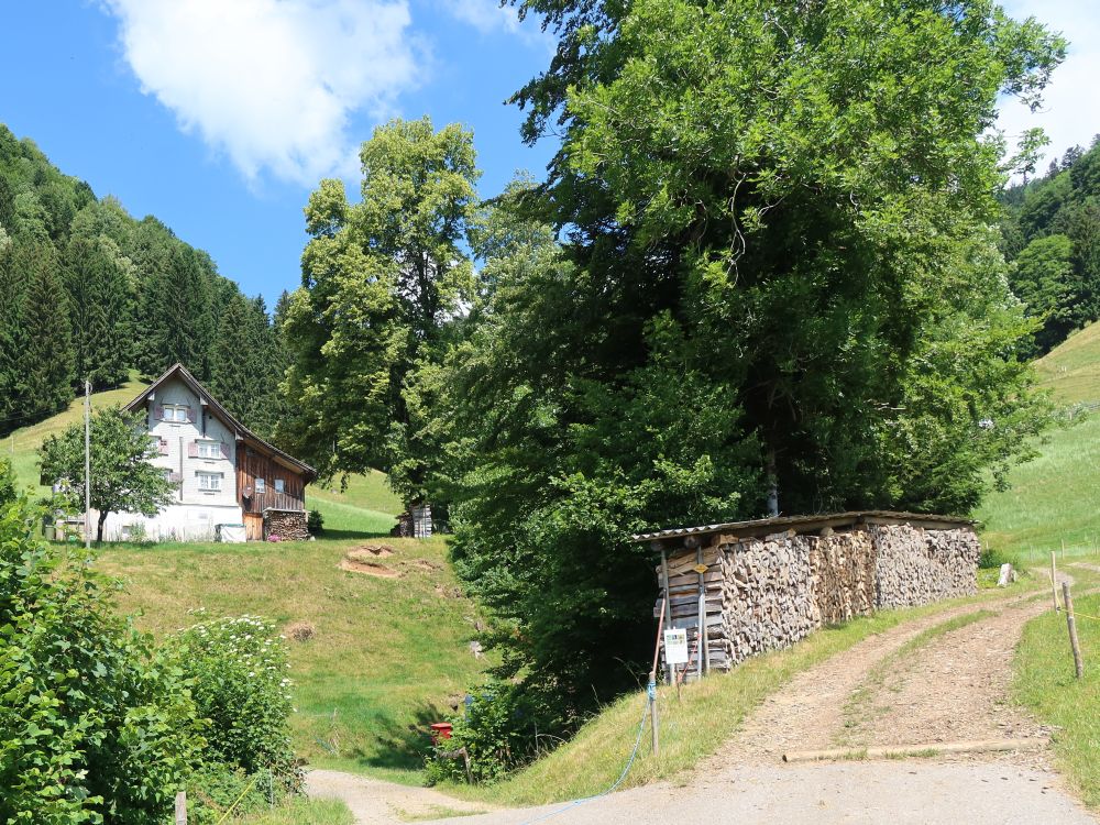 Bauernhof bei Walde