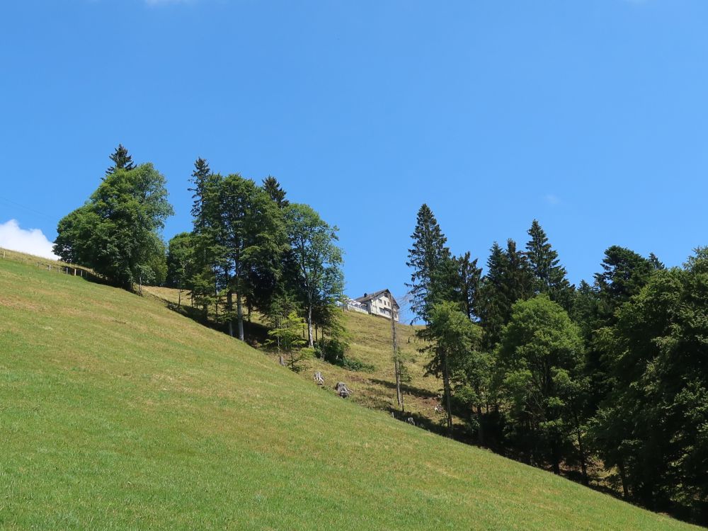 Blick auf Ober Atzmännig