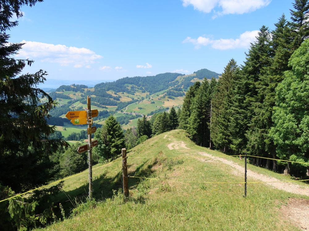 Gratweg nach Oberazmännig