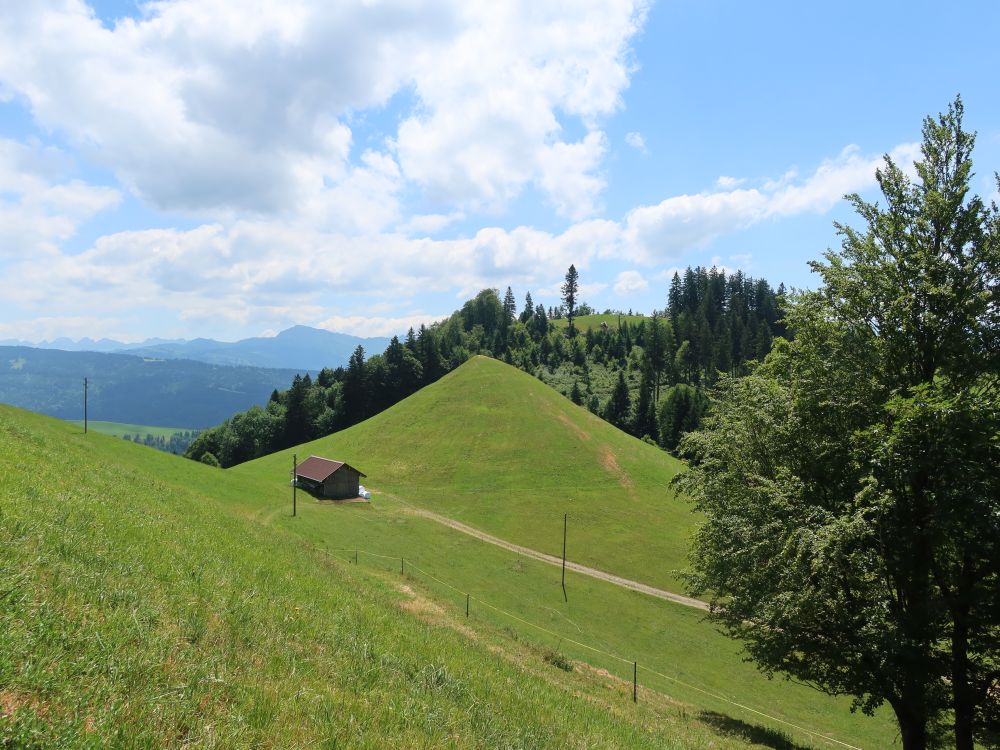 Blick auf Unter Azmännig