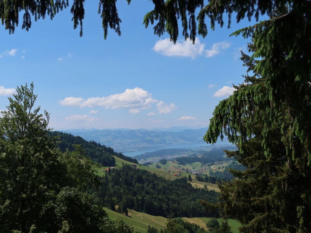 Blick Richtung Zürichsee