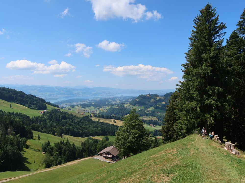 Blick Richtung Zürichsee