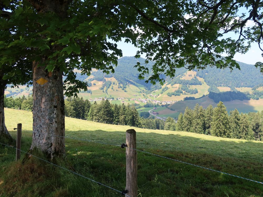 Blick ins Goldinger Tal