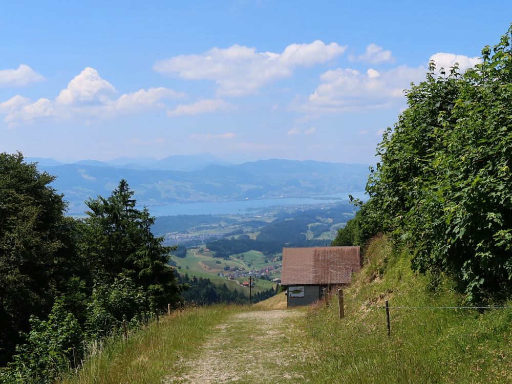 Blick Richtung Zürichsee