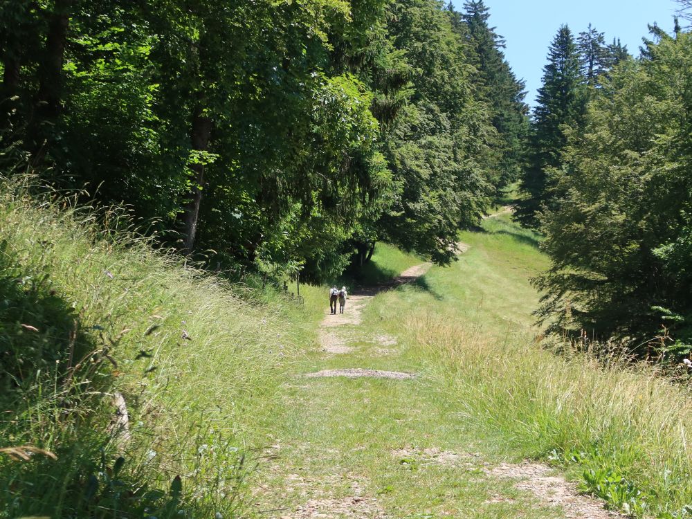 Weg bei Ober Azmännig