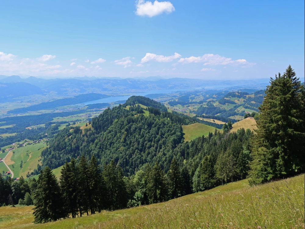 Köbelberg und Zürichsee