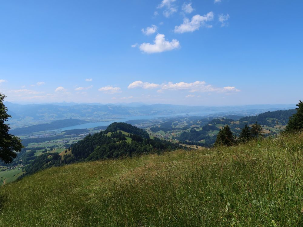 Köbelberg und Zürichsee