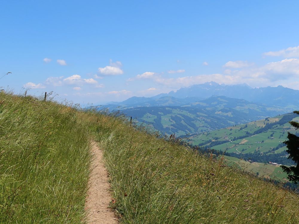 Wiesenpfad und Säntis