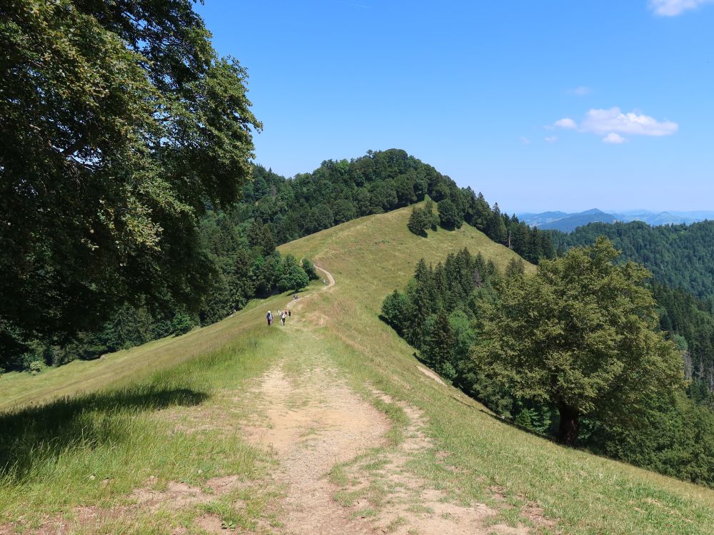 Gratweg zwischen Schwammegg und Rotstein