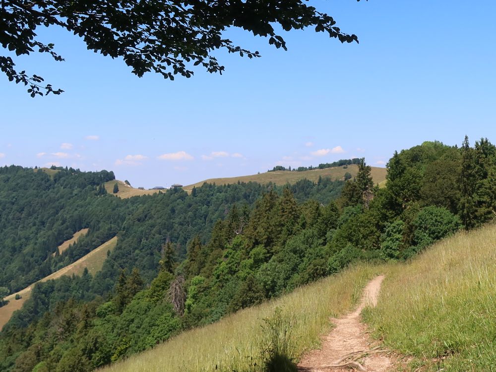 Blick Richtung Chrüzegg