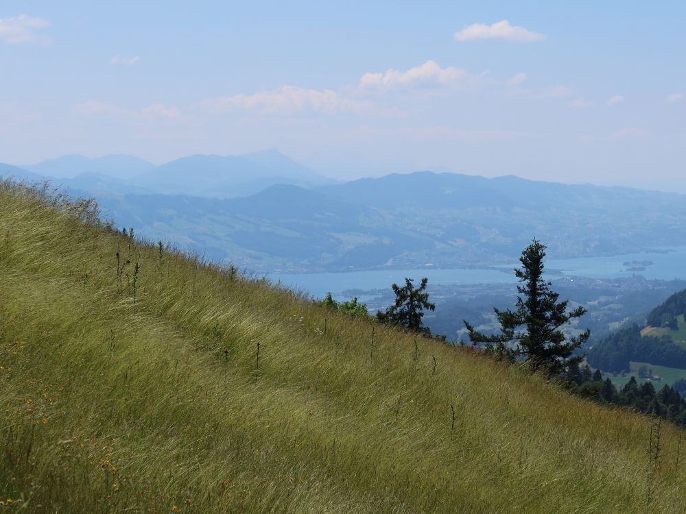 Zürichsee mit Rigi im Hintergrund