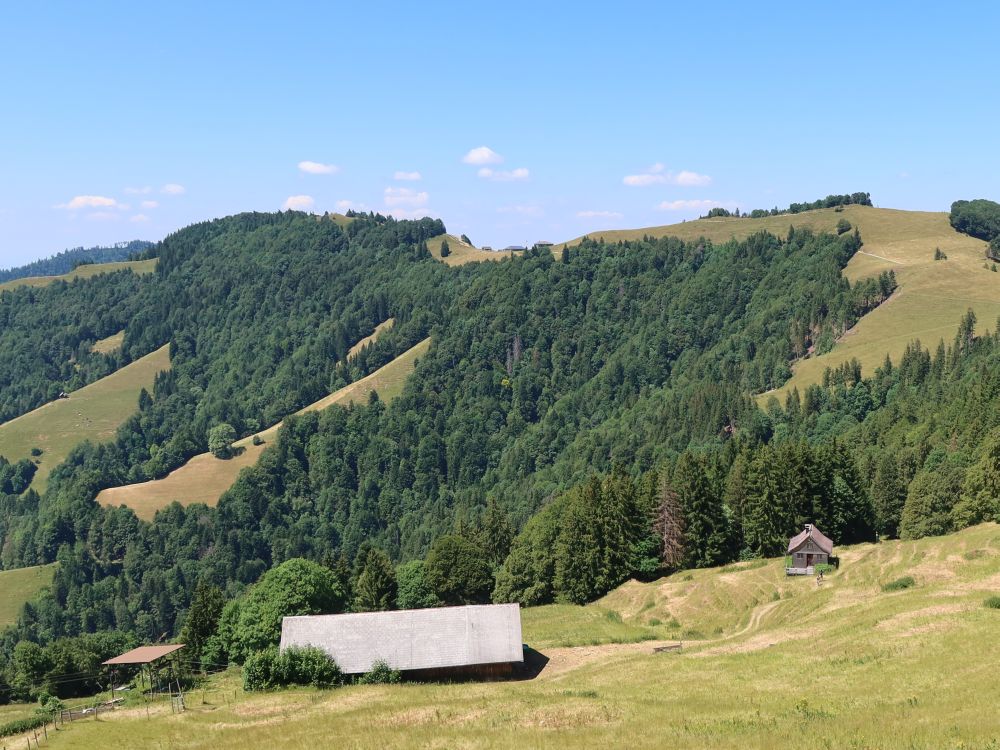 Blick Richtung Chrüzegg