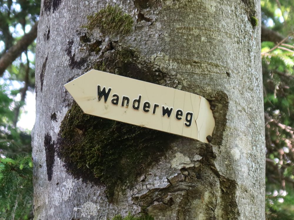 eingewachsener Wanderwegweiser