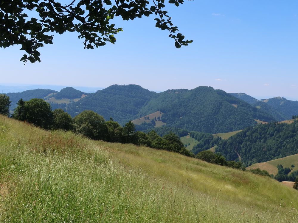 Blick übers Goldinger Tal zu Höchhand, u.a.