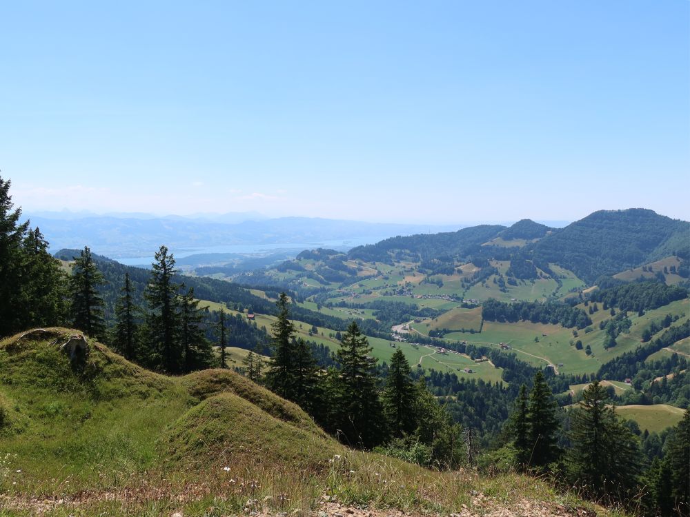 Blick Richtung Zürichsee