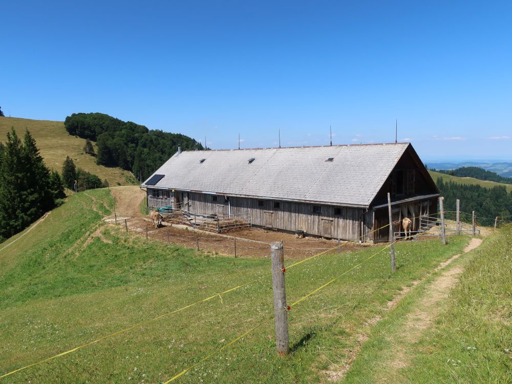 Stall auf Tweralp