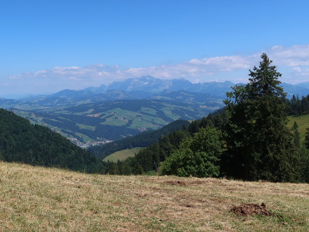 Blick Richtung Säntis