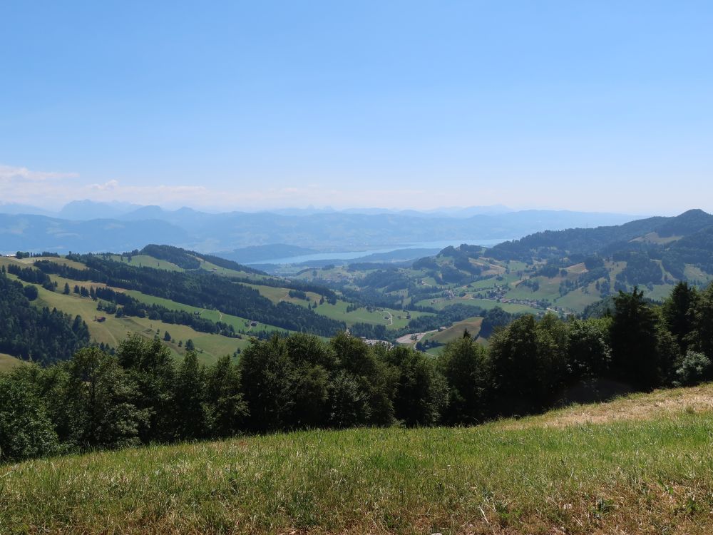 Blick Richtung Zürichsee