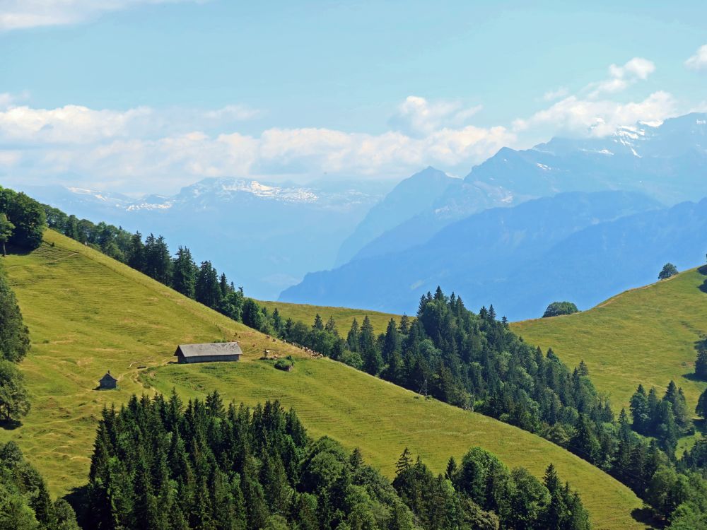 Grossrotstein mit Glarner Alpen im Hintergrund