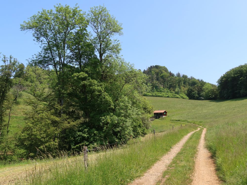 Weg bei Attenbrunnen