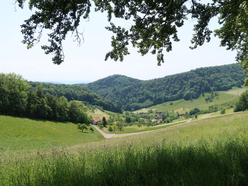 Blick Richtung Rohr