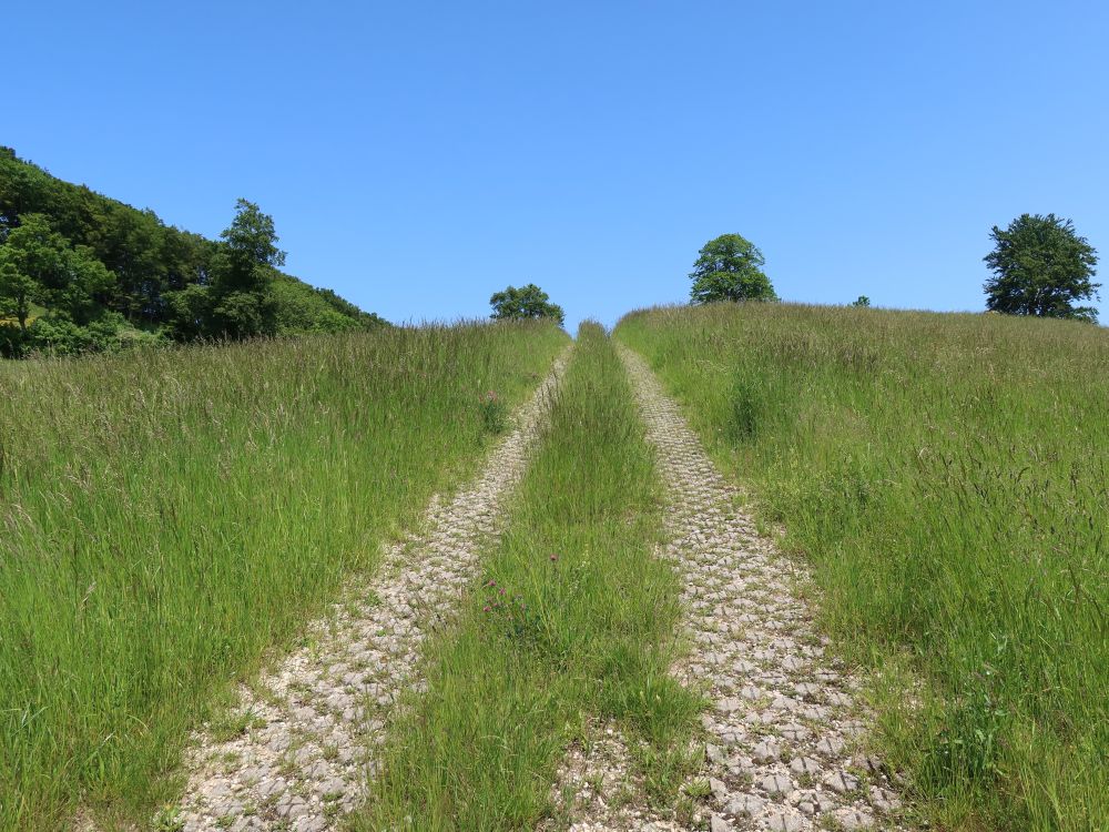 Wirtschaftsweg