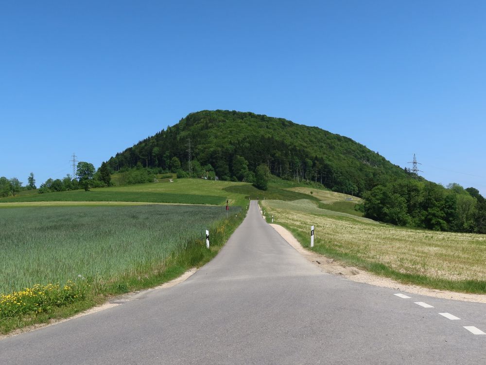 Schafmattstrasse und Geissflue