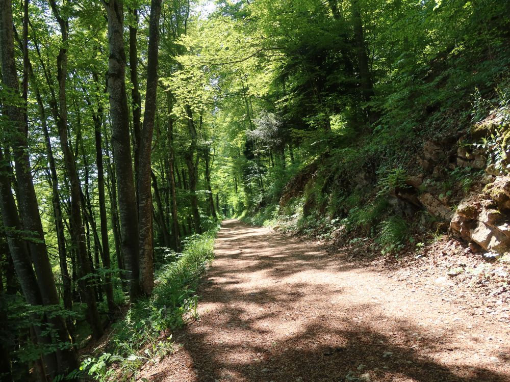 Waldweg