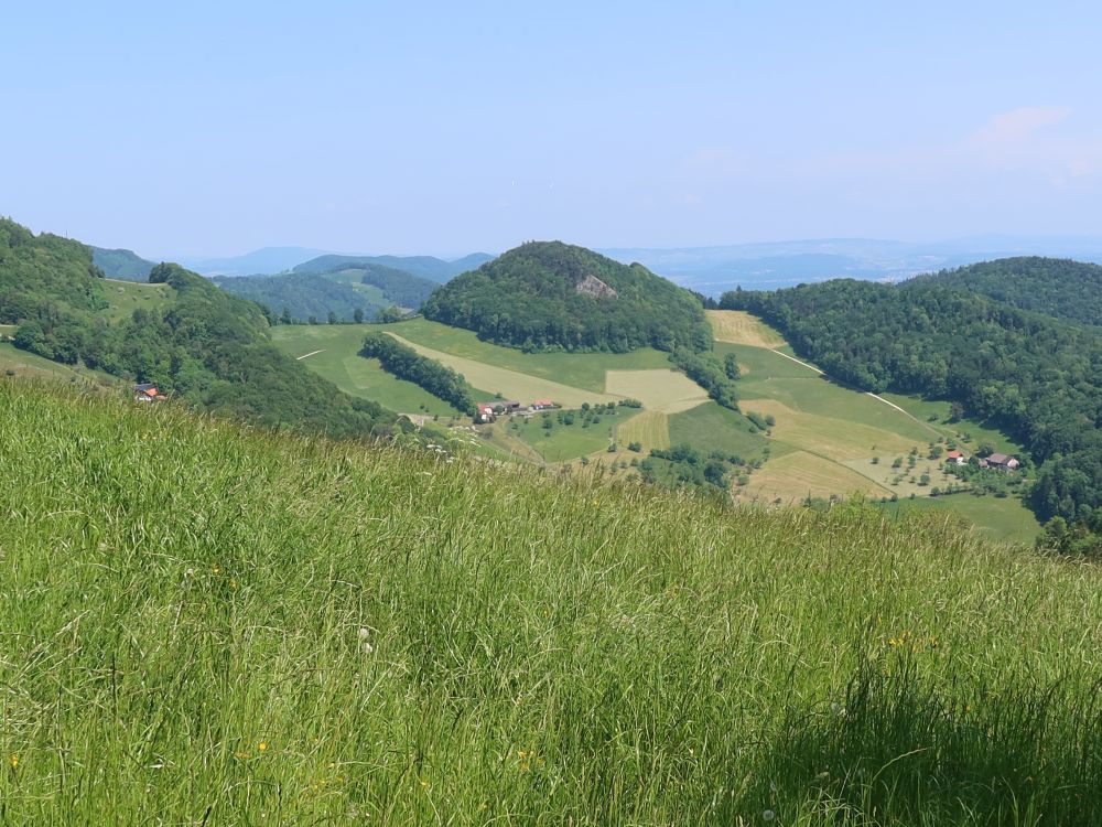 Rütflue bei Rohr